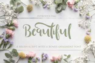Beautiful Font Review