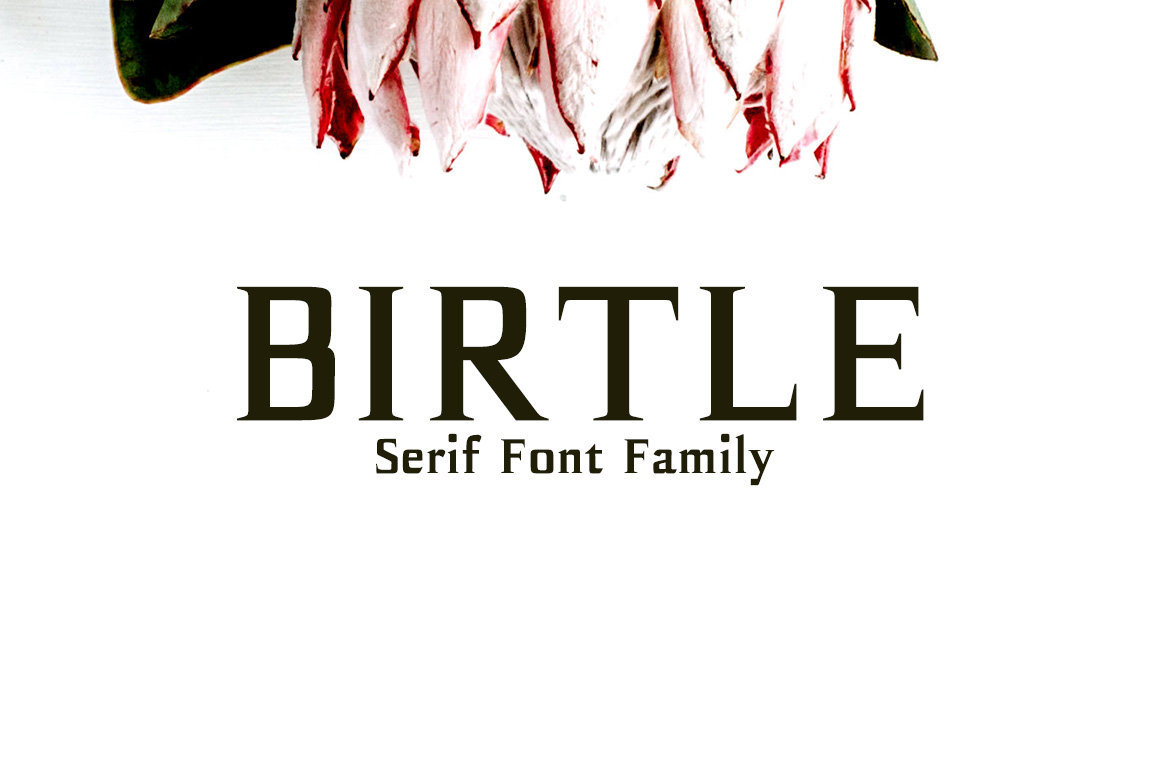 Birtle: A Modern Serif Font for Craft Creators