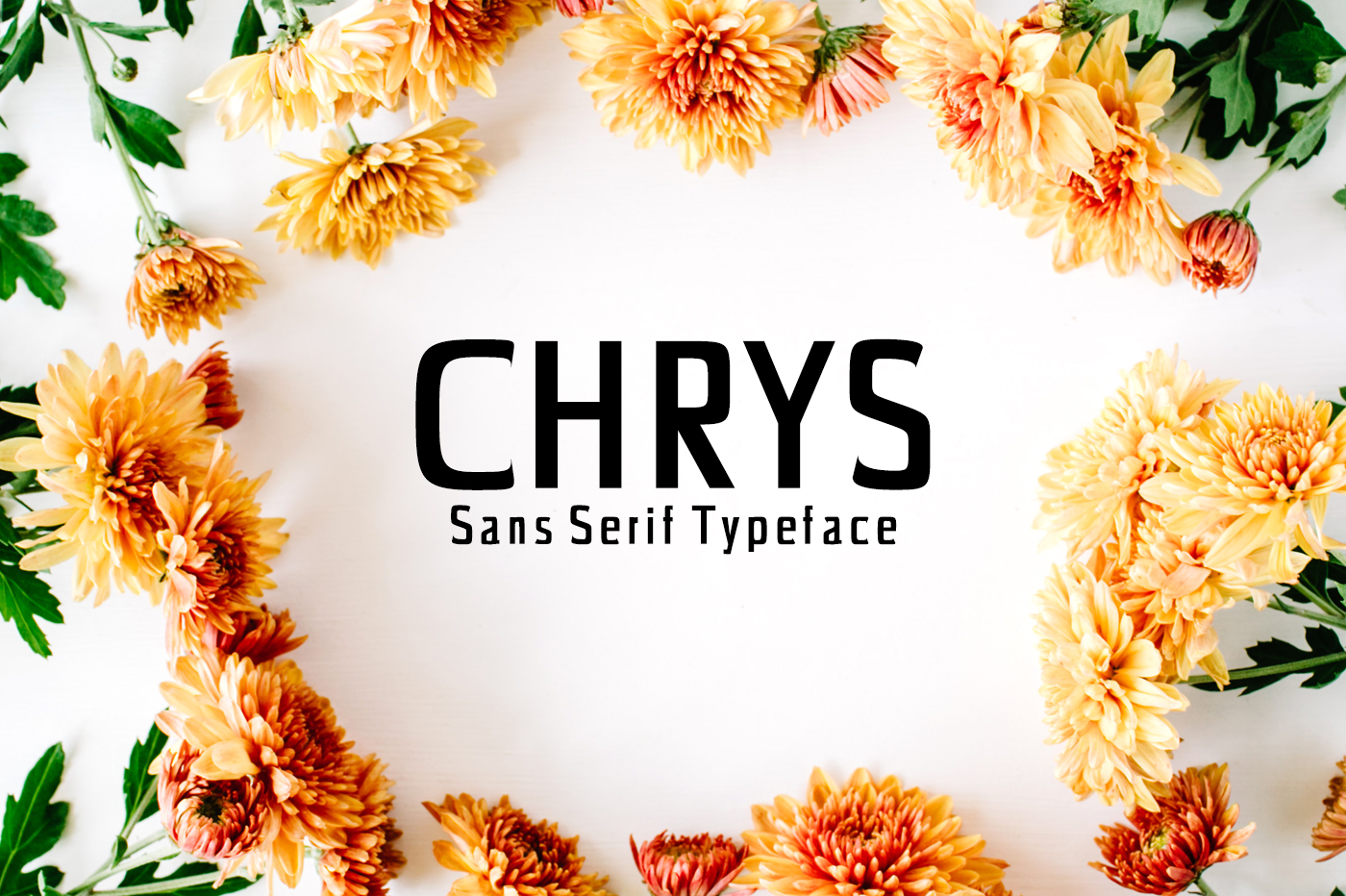 Chrys: A Bold Font for Business Success
