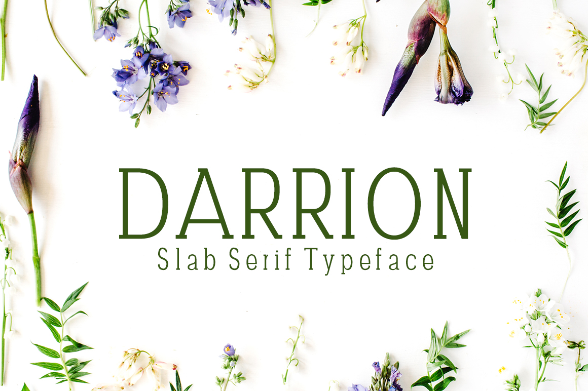 Darrion: A Slab Serif Font for Bold Campaigns