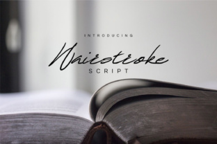 Hairstroke: A Vintage Script for Editorial Design