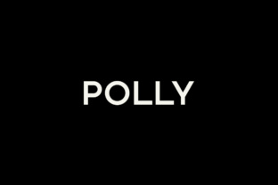 Polly: A Designer’s Real-World Take