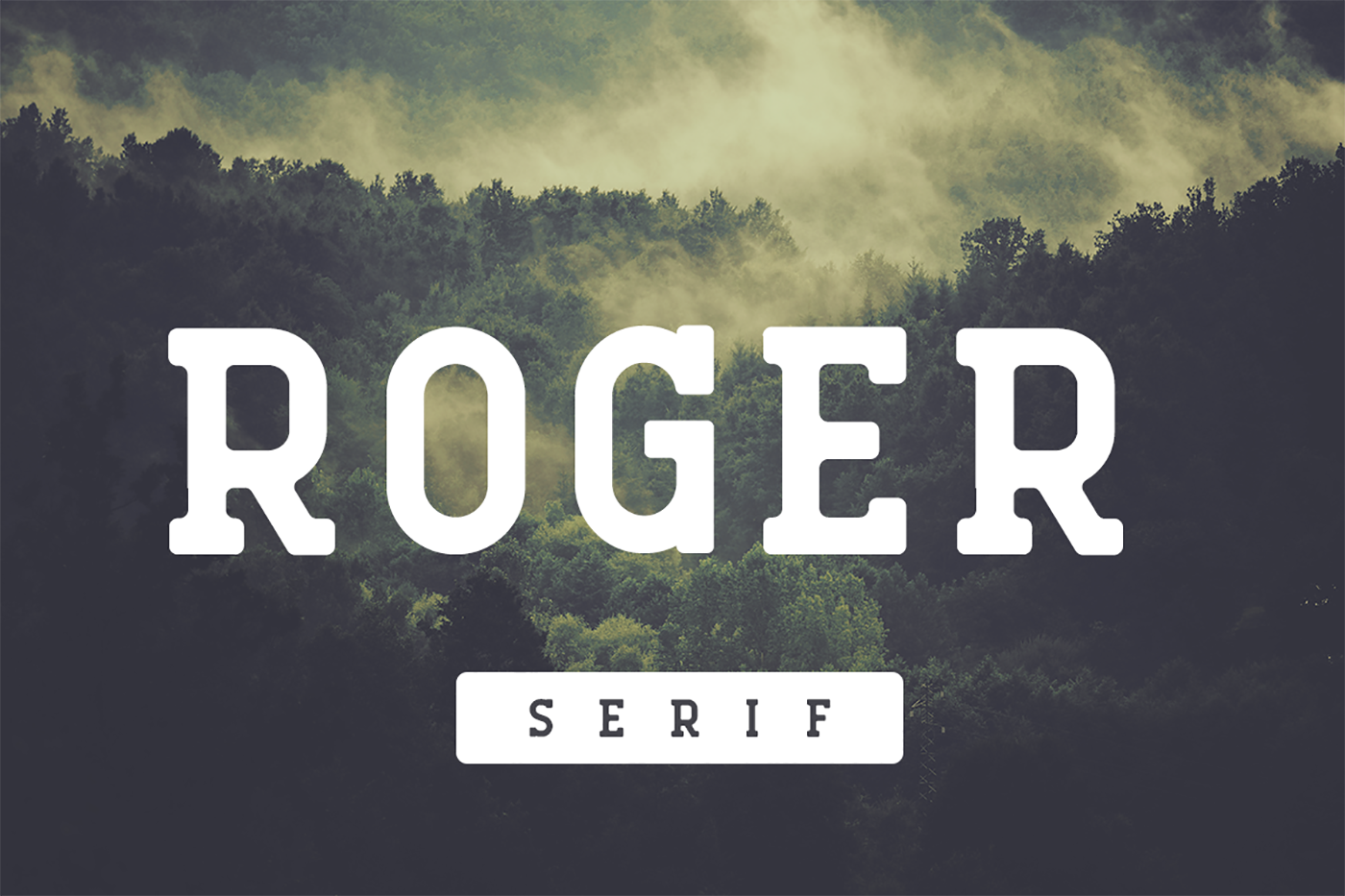 Roger Serif: A Vintage Typeface for Modern Design