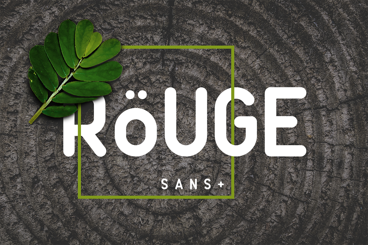 Rouge Sans: A Modern Typeface for Makers