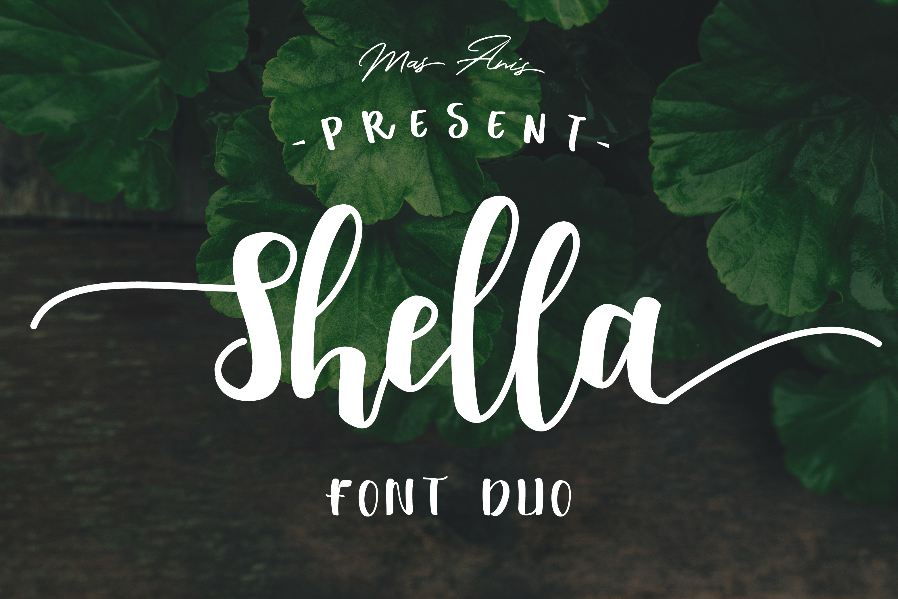 Shella Font: Handwritten Elegance for Web Design