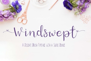 Windswept Font: Elegant Script for Handmade Creations